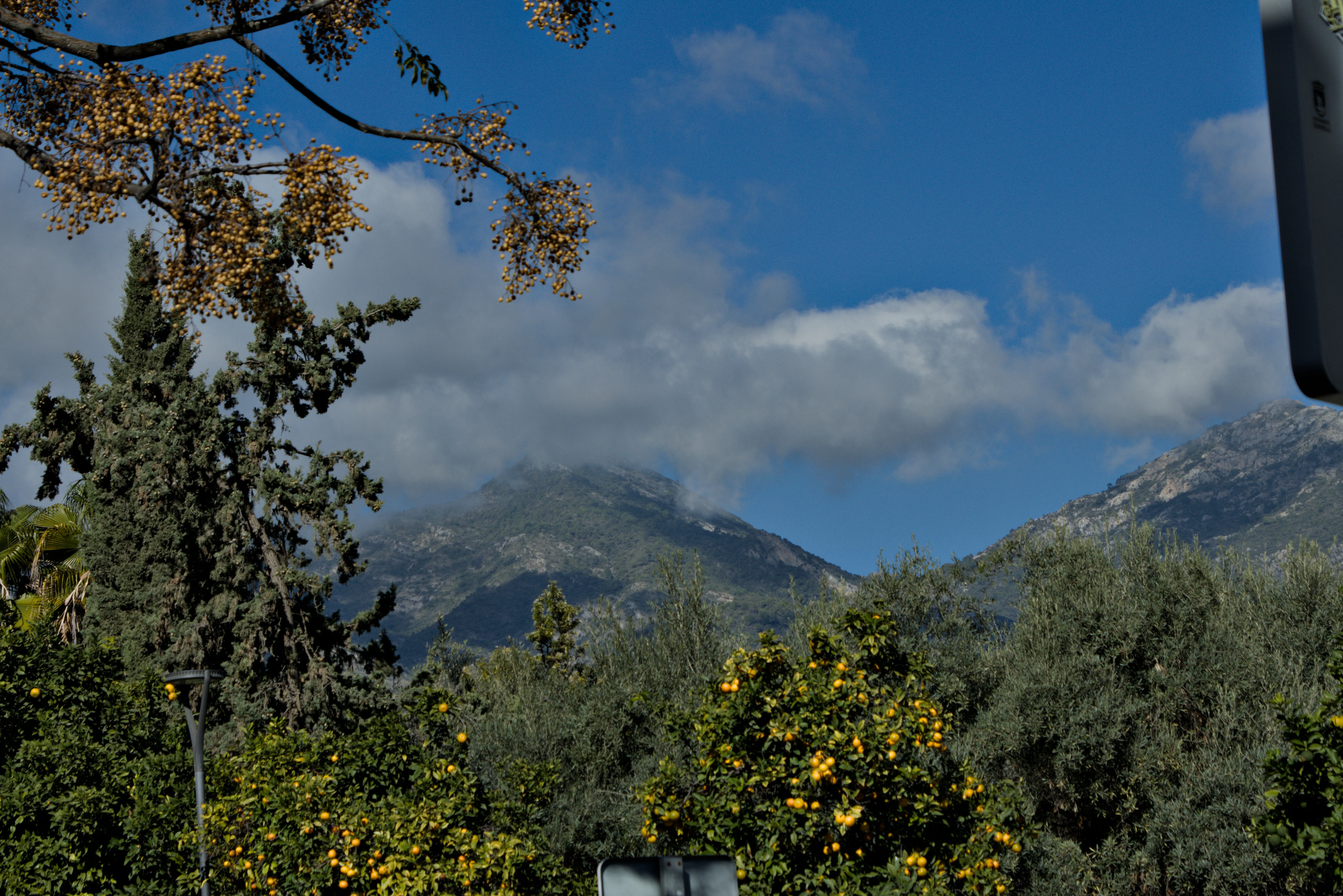 Tamron 28-300mm F3.5-6.3 (EF) - _I4A7088.webp